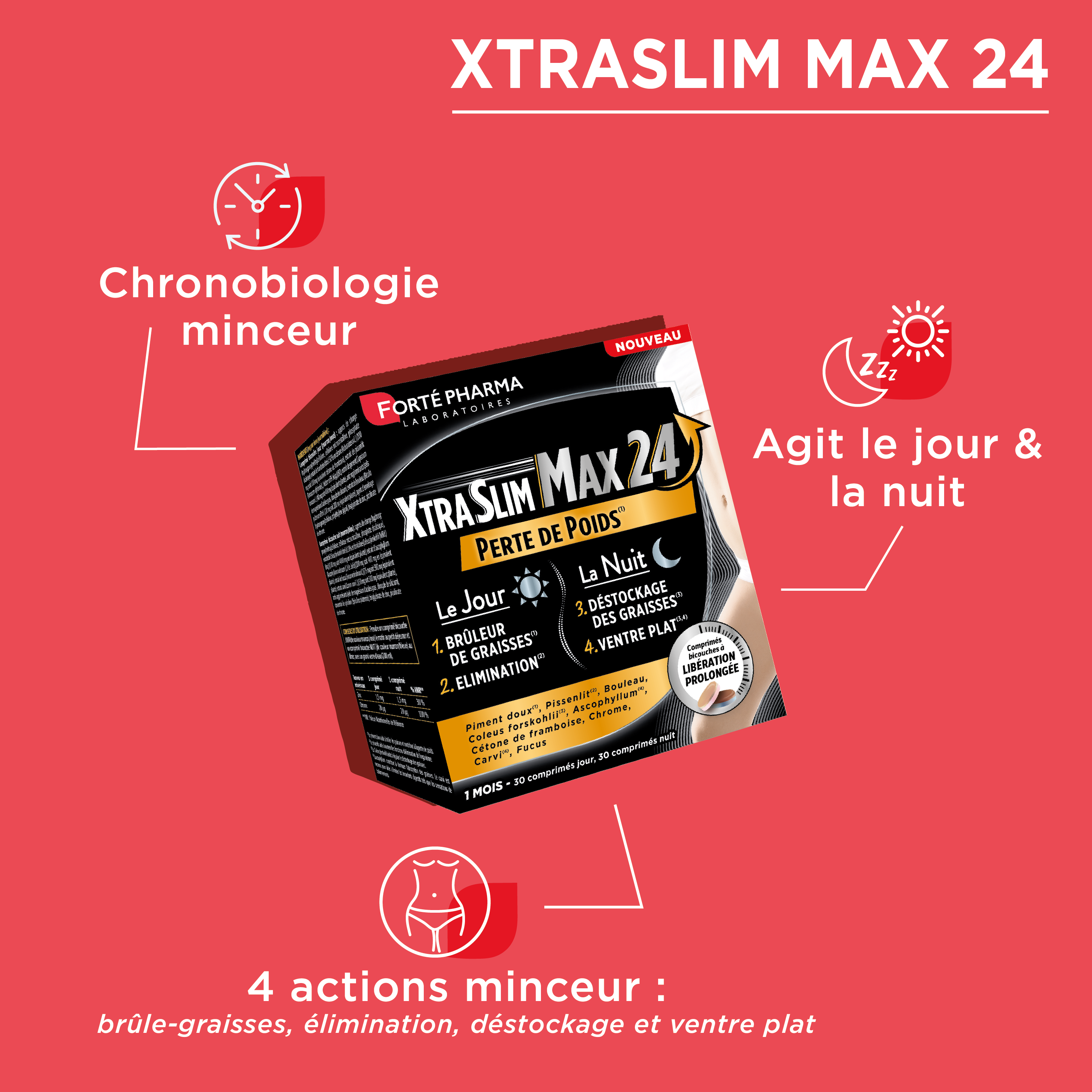 bienfaits action minceur brule graisse XtraSlim Max 24