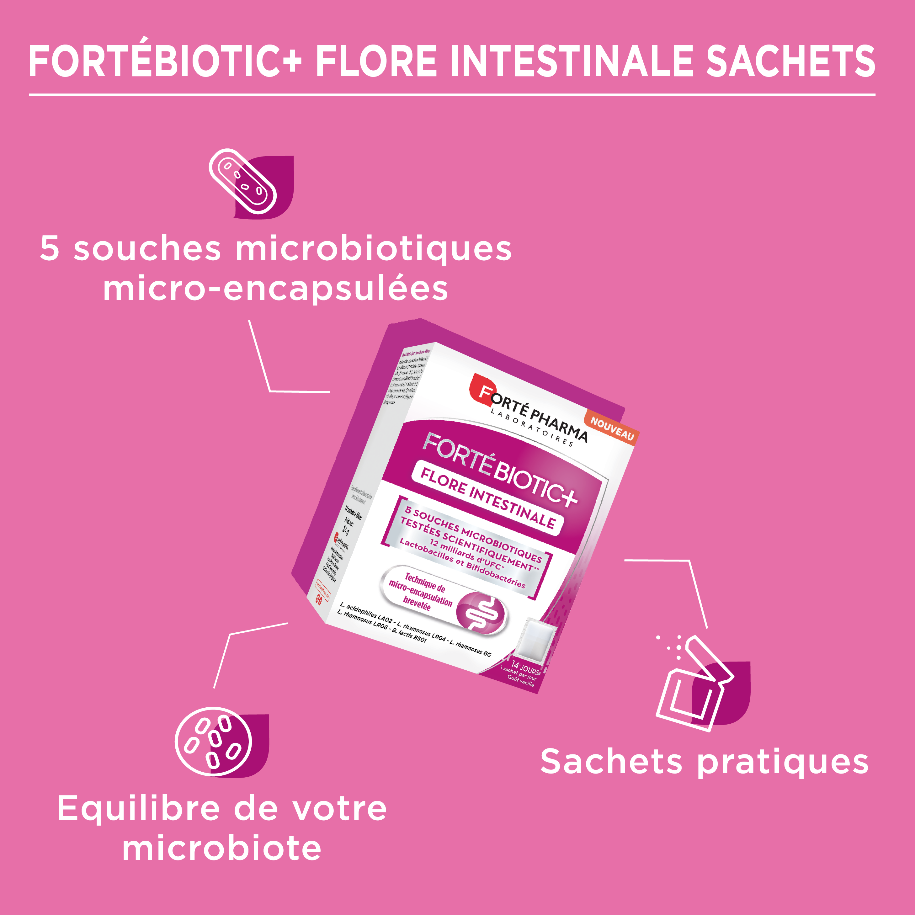 fortébiotic flore intestinale microbiote bienfaits transit